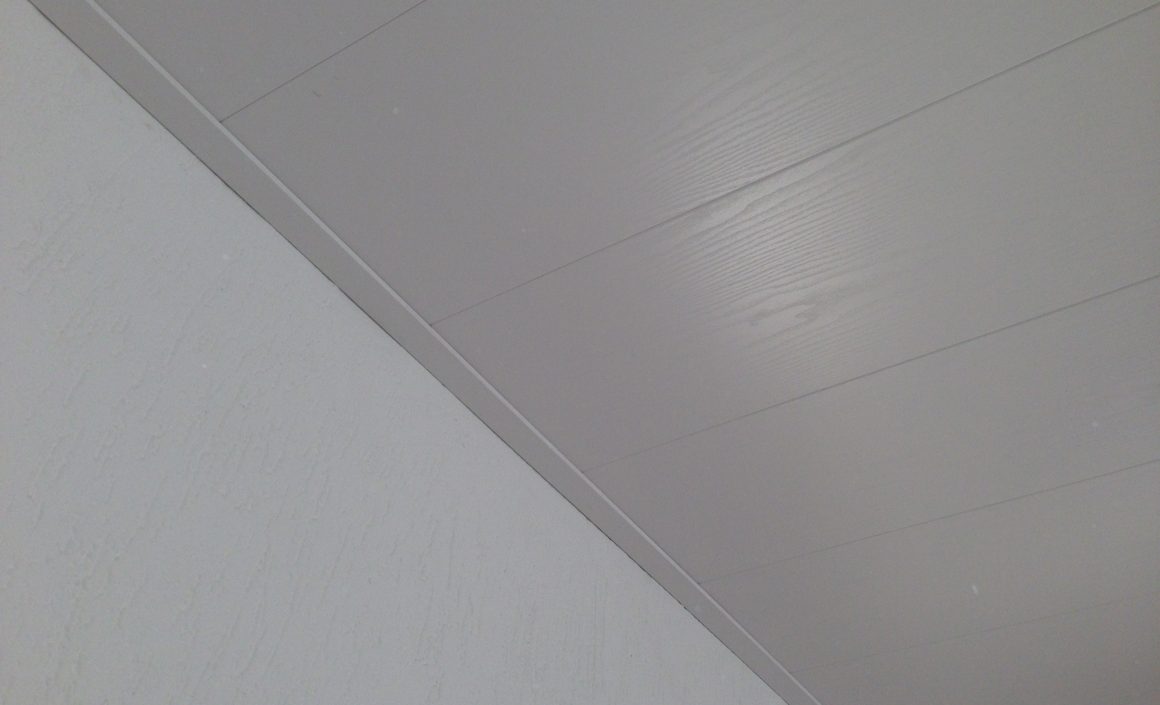 Nieuw plafond (woonkamer)